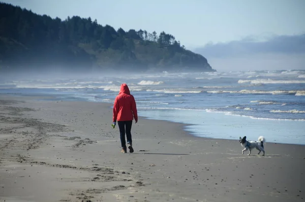 Seaview, Long Beach Yarımadası, Washington Kum Plajı'nda Beachgoer