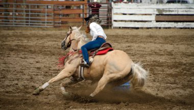 Yarış, Long Beach Yarımadası rodeo varil