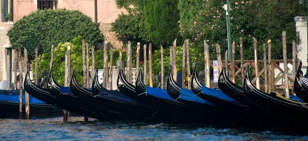 Утро Парковке Гранд Канале Венеция — стоковое фото