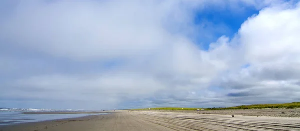 Strand Zwischen Meerblick Und Straße Meerblick Washington — Stockfoto