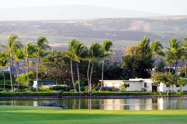 Golf field and lake  near King plaza on Big Island — Stock Photo, Image