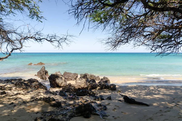 Hermosos árboles de kiawe enmarcando la serenidad de la playa de Waialea —  Fotos de Stock