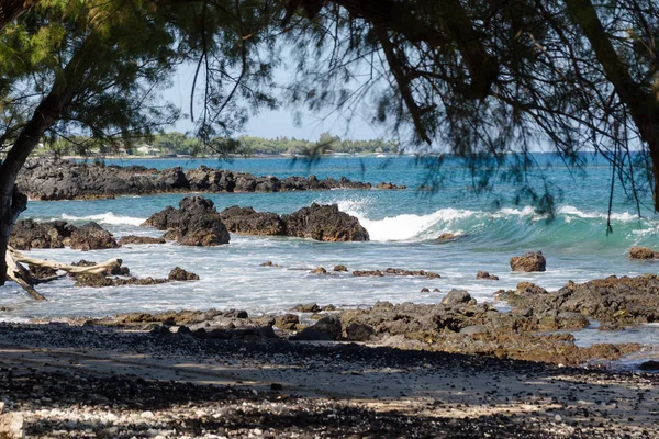 Gyönyörű kiawe fák kialakítása derű a Waialea strand — Stock Fotó