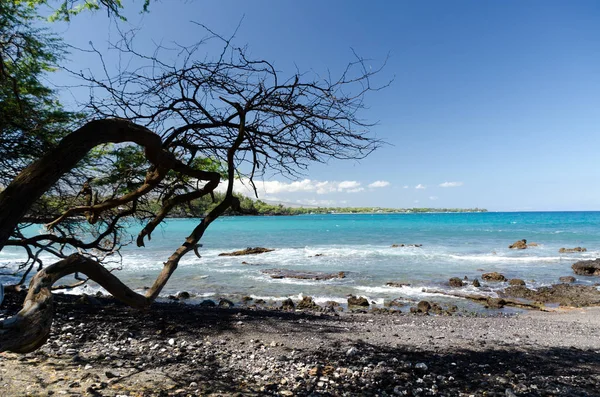 Vackra tar träd inramning Serenity av waialea Beach — Stockfoto