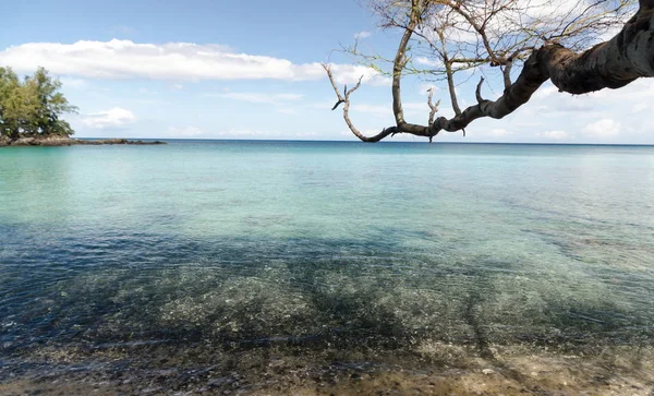 Hermosos árboles enmarcando la serenidad de la playa de Waialea —  Fotos de Stock