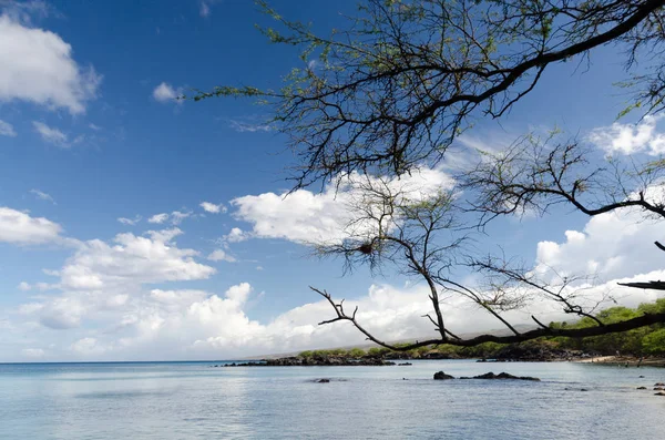 Vackra träd inramning lugnet i Waialea Beach — Stockfoto