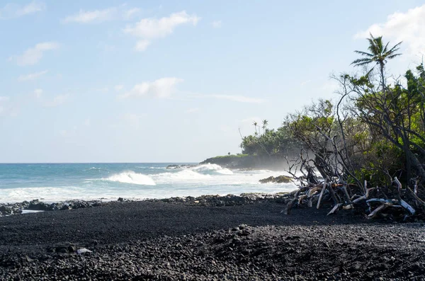 Surf atinge árvore litoral de palmeiras e madeira seca na praia de Pohoiki — Fotografia de Stock