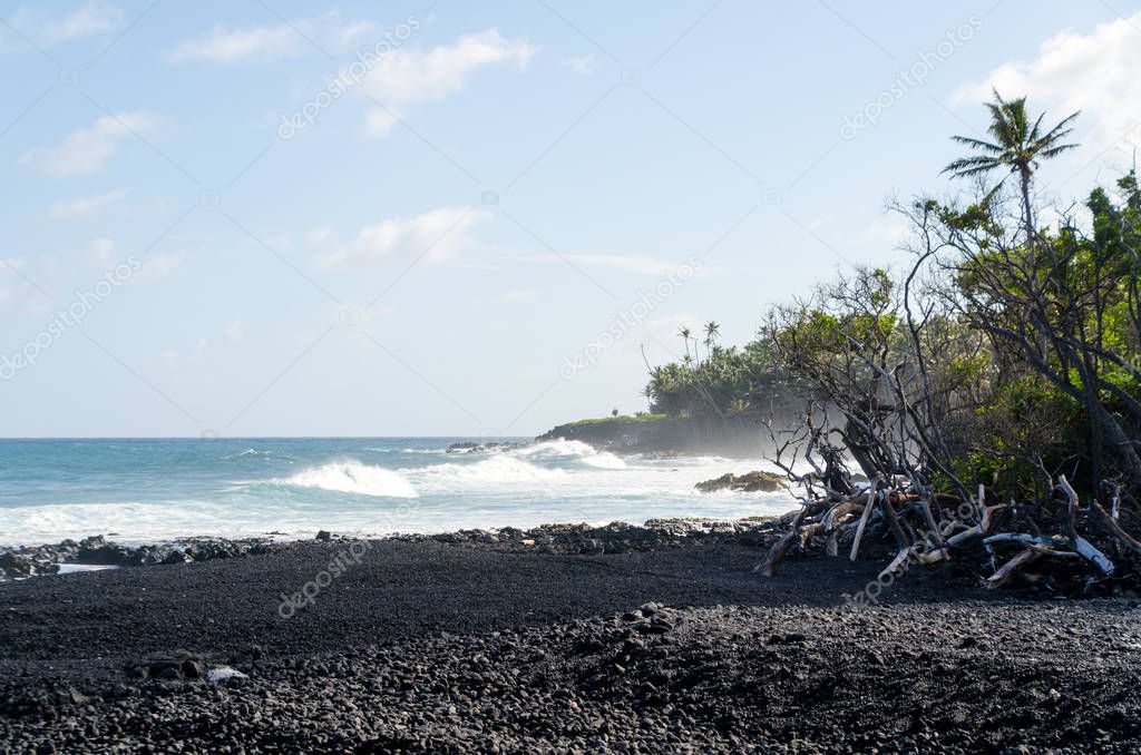 Surf hits tree coastline of palms and drywood at Pohoiki  beach