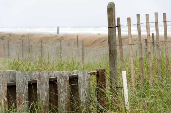 Ogrodzenie z ochroną wydmy na plaży Westport — Zdjęcie stockowe