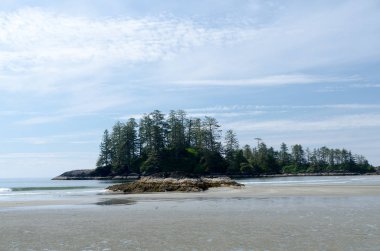 Schoonrs Koyu plajında yürüyüş, Tofino