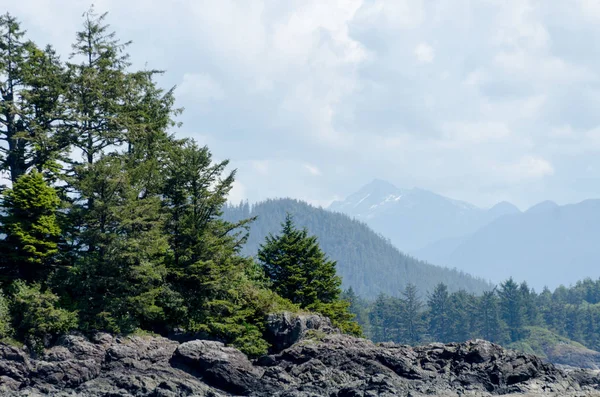 Wandelen bij Schoonrs Cove Beach, Tofino — Stockfoto