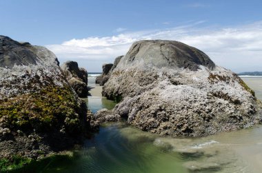 Tofino Long Beach güney ucunda kayalar yakınında Düşük gelgit