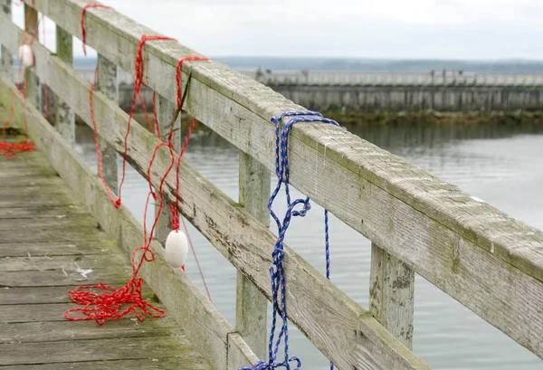 红色和蓝色的绳子在韦斯特黑文科夫的码头上抓螃蟹陷阱 — 图库照片