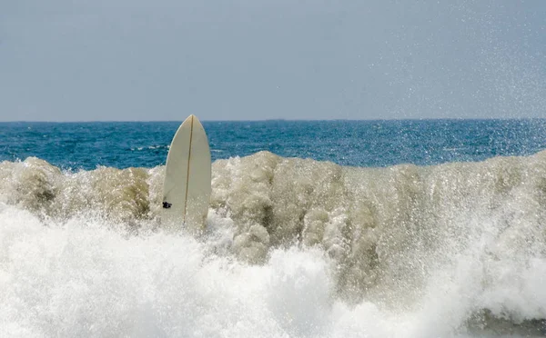 Surfbrett bleibt vertikal in einer großen Welle am newport beach in ca. — Stockfoto