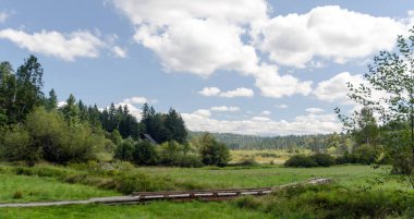 Evans Creek Preserve yakınlarındaki geniş Meadows