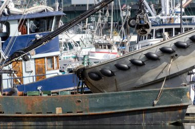 Ballard Fishermens Terminali'nde Deneyimli trol