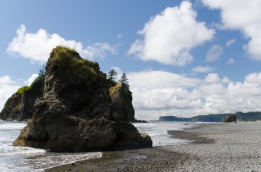 Düşük gelgit sırasında Ruby Sahili 'ndeki bazalt kayaları, Olympic National Park, Washington