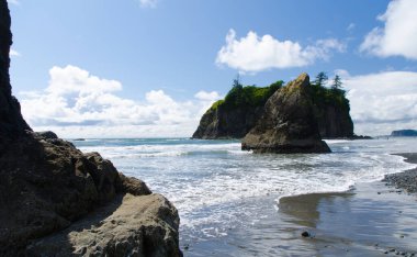 Düşük gelgit sırasında Ruby Sahili 'ndeki bazalt kayaları, Olympic National Park, Washington