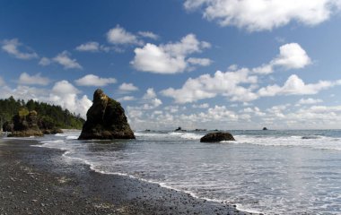 Düşük gelgit sırasında Ruby Sahili 'ndeki bazalt kayaları, Olympic National Park, Washington