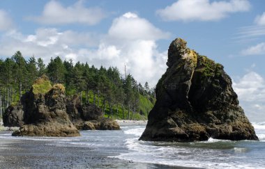 Düşük gelgit sırasında Ruby Sahili 'ndeki bazalt kayaları, Olympic National Park, Washington