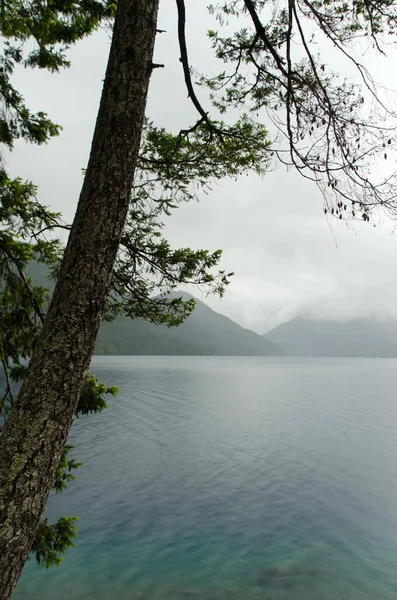 Escursioni Una Giornata Piovosa Lago Crescent Foresta Nazionale Olimpica Washington — Foto Stock