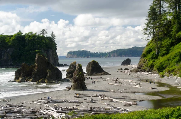 Folla Dei Bagnanti Ruby Beach Parco Nazionale Olimpico Washington Foto Stock