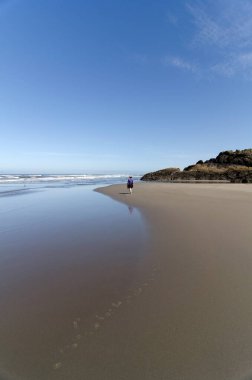 Alçak gel-git Sakalları Sahili Kayaları açığa çıkarıyor ve gelgit göletleri bırakıyor, Cape Hayal kırıklığı Eyalet Parkı, Washington