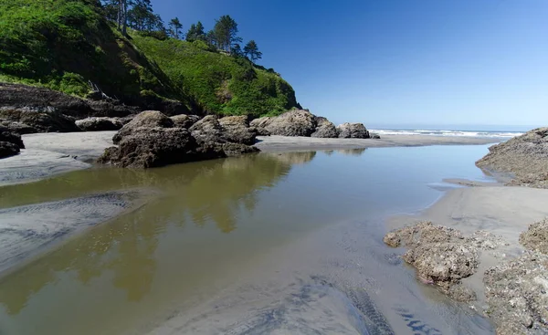 Barbas Maré Baixa Praia Oca Expondo Rochas Deixando Lagoas Maré — Fotografia de Stock