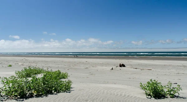 Empty Benson Beach Cape Disappointment State Park Washington — Stockfoto