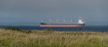 Kırmızı kargo gemisi Chehalis Point, Westport, Grays Harbor, Washington yakınlarındaki sahil çimleriyle kaplı kum tepelerinin arkasına demir attı.