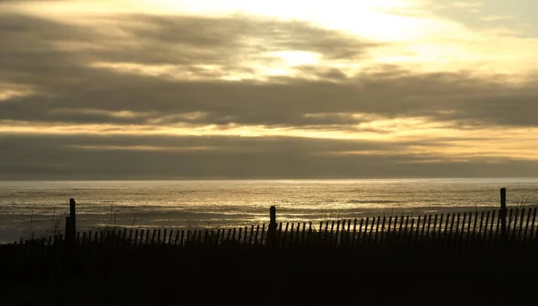 Silhouetten Van Duinbeschermingshek Bij Westport Beach Bij West Ocean Avenue — Stockfoto