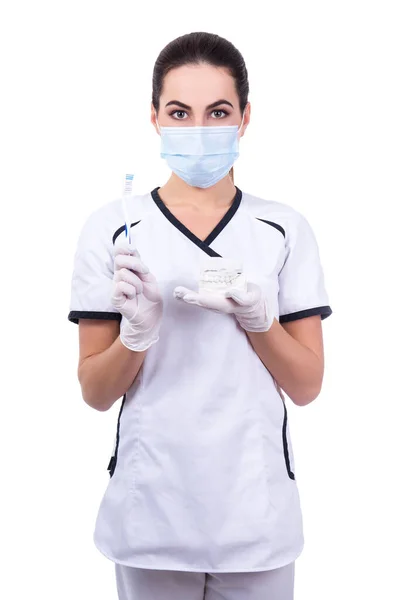 Atraente Médico Segurando Escova Dentes Mandíbulas Isoladas Fundo Branco — Fotografia de Stock