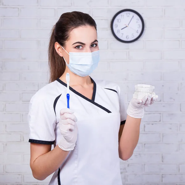 Dentista Mujer Sosteniendo Dientes Modelo Cepillo Dientes Oficina —  Fotos de Stock