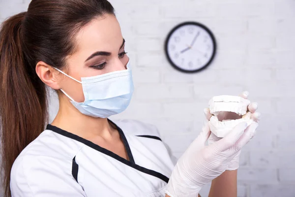 Concepto Cirugía Retrato Mujer Dentista Sosteniendo Los Dientes Modelo — Foto de Stock