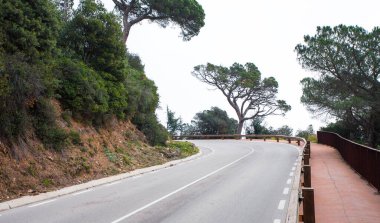 Dağlarda asfalt yolu kıvrılıyor ve dönüyor