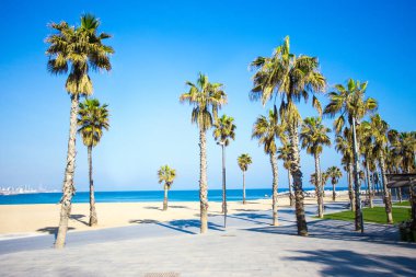 Yaz arkaplanı - Barcelona 'da gezinti güvertesi, kumlu plaj ve palmiyeler