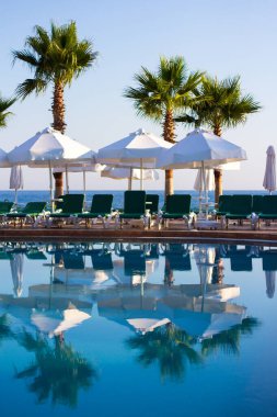 Yaz arkaplanı - yüzme havuzu ve sahilde palmiye ağaçları