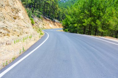 Yolculuk konsepti - dağ ormanında eğimli asfalt yol