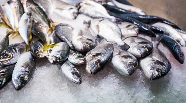 氷の中の新鮮な魚を市場に出すと — ストック写真