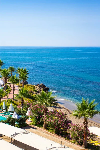 Summer Travel Concept Beautiful Sandy Beach Palms Turkey — Stock Photo, Image