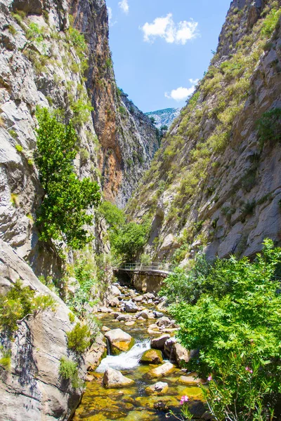 Montañas Bosques Hermoso Paisaje Del Cañón Del Sapadere Turquía —  Fotos de Stock