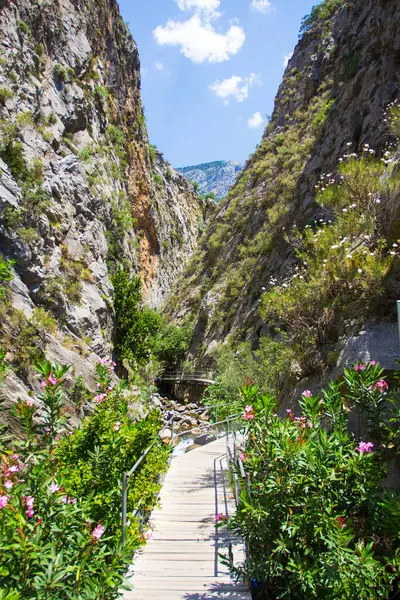 Belle Vue Paysage Sur Canyon Sapadere Turquie — Photo