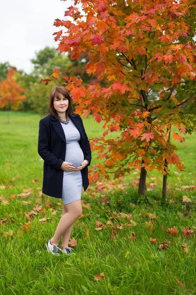 Ganzkörperporträt Einer Jungen Schwangeren Die Herbstpark Spazieren Geht — Stockfoto