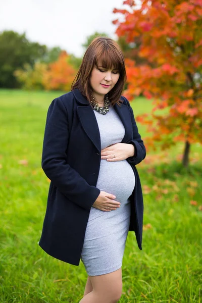 Retrato Una Joven Hermosa Embarazada Posando Parque Otoño — Foto de Stock