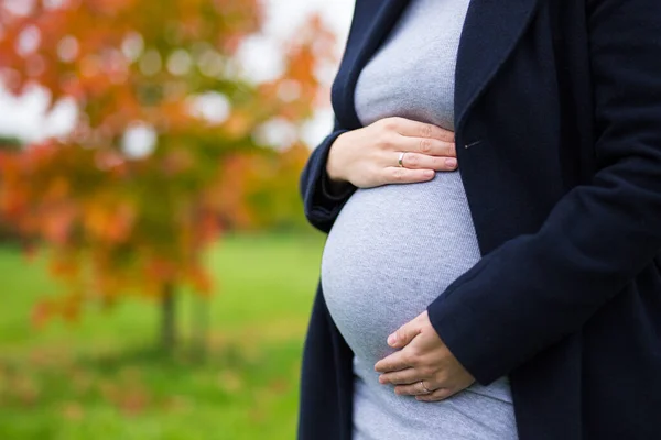 Nahaufnahme Von Schwangerschaftsbauch Über Herbst Park Hintergrund — Stockfoto