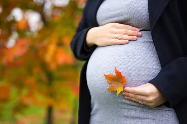 Primer Plano Barriga Embarazada Con Poca Hoja Arce Sobre Fondo — Foto de Stock
