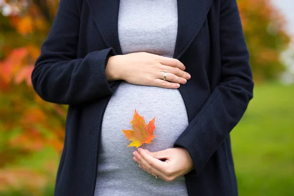 Schwangere Mit Kleinem Ahornblatt Auf Dem Bauch Über Herbstlichem Parkhintergrund — Stockfoto