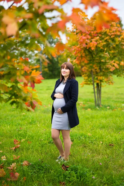 Šťastná Těhotná Žena Kráčí Podzimním Parku — Stock fotografie