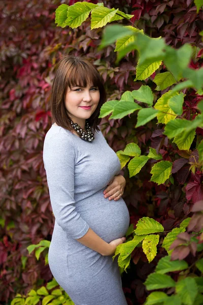 Joven Hermosa Embarazada Posando Sobre Fondo Otoño —  Fotos de Stock