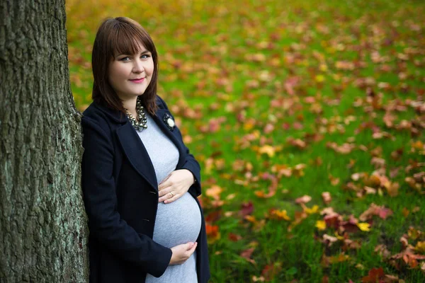 Portret Van Gelukkige Mooie Zwangere Vrouw Herfstbos Park — Stockfoto